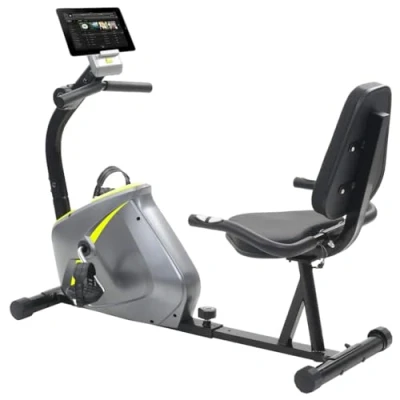 Image of vidaXL Recumbent Exercise Bike: Magnetic Resistance Adjustable 8 Level Tension Control, LCD Display with Pulse Monitor and Tablet Holder, Ergonomically Designed Seat, in Grey