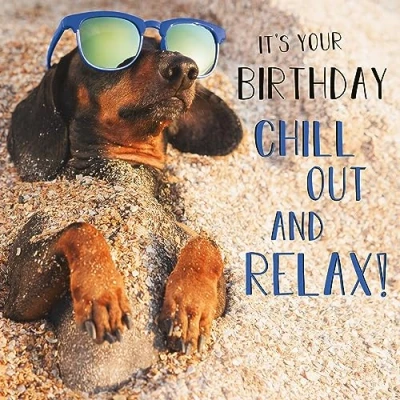 Image of Abacus Cards Male/Female Birthday Card General Funny for Men/Women &#039;Chill Out and Relax&#039; Dachshund Dog on Beach Eco Friendly &amp; Recyclable Made in the UK