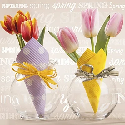 Image of Daisy 3 Ply Flowery Tissue Paper Napkins Serviettes for Decoupage Lunch 33cm x Pack of 20 (Tulips in Cones)