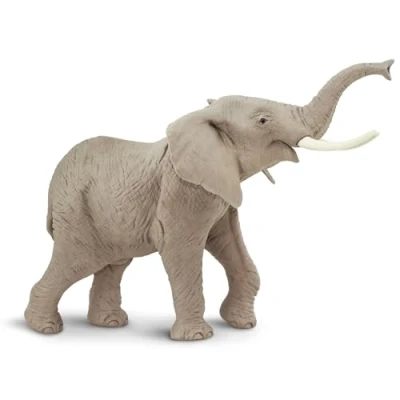 Image of African Elephant