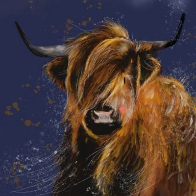Image of Alex Clark Highland Cow Blank Card Designed and Printed in UK For Any Occasion
