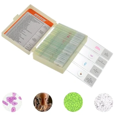 Image of HUAREW Microscope Slides with Specimens for Kids, Glass Prepared Set Accessories, Biology Gifts and Basic Science Kid Education（30 Pcs）