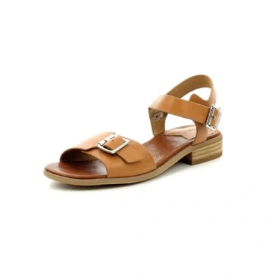 Image of Kickers BUCIDI women&#039;s Sandals in Brown