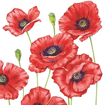 Image of Ambiente 3 Ply Paper Lunch Napkins Romantic Poppy