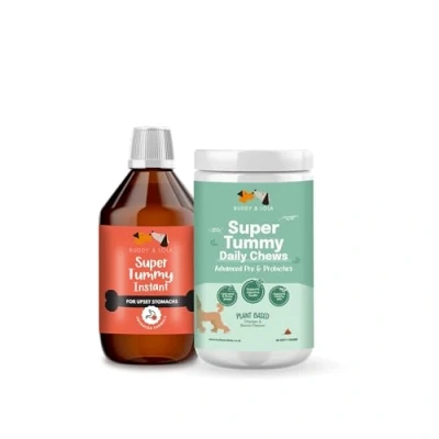 Image of Buddy &amp; Lola Digestion Bundle Fast Acting Dog Diarrhea Treatment with Electrolytes 20 Servings Tummy Settler For Dogs All Breeds, Sizes and Ages Syringe Included Plus Probiotic Chews