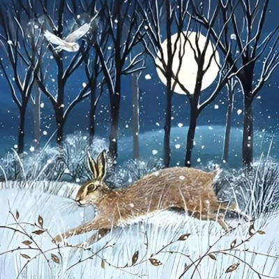 Image of Museums and Galleries Charity Christmas Cards Pack of 8 with Snowy Moonlit Hare Owl Design Eco Friendly Xmas Multipack Envelopes