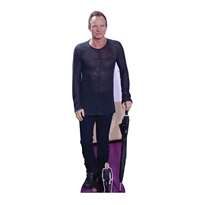 Image of CS1031 Sting Lifesize Cardboard Cutout With Mini Pop Star