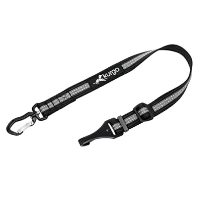 Image of Kurgo Direct to ISO FIX Swivel Tether, Universal Car Seat Belt for Dogs, Tangle Free with Latch Bar Attachment, Adjustable, Black/Charcoal
