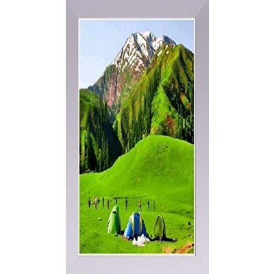 Image of Silver Photo Frames Picture Poster Real Wood Glass Modern Frame 50 x 25cm
