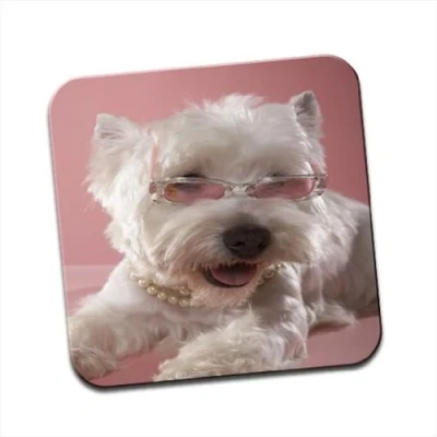 Image of West Highland Terrier Westie Dog Single Coaster