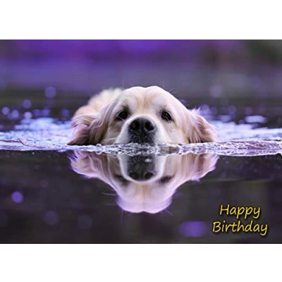 Image of Golden Retriever Dog Birthday Card