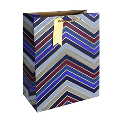Image of Eurowrap Bold Graphic Chevron Gift Bag With Tag Mens Fathers Day Birthday Occasion, Design By Jeff Banks Large