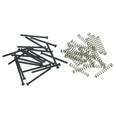 Image of KAISH Pack of 20 Bass Guitar Pickup Mounting Screws Springs for Precision P or J P90 Soap Bar Pickups Black
