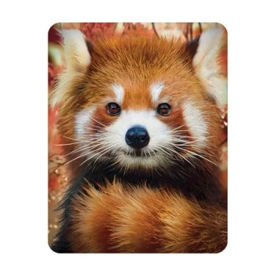 Image of 3D LiveLife Magnet Baby Red Panda from Deluxebase. Lenticular Animal Fridge Magnet. Magnetic decor for kids and adults with artwork licensed renowned artist, David Penfound