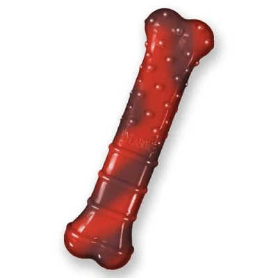Image of Nylabone Extreme Tough Dog Chew Toy Bone, Durable, Cleans Teeth, Beef Jerky Flavour, Medium, for Dogs Up to 16 kg