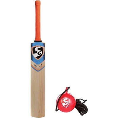 Image of SG Cricket Practice Combo RSD Plus Kashmir Willow Bat, Short Handle + I Ball Hanging Kit
