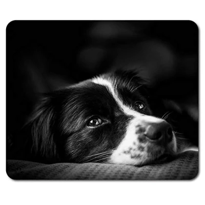 Image of Destination Vinyl ltd Border Collie Mouse Mat Pad Puppy Farm Sheep Dog Farmer Computer #8639