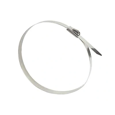 Image of Good Connections® Stainless steel cable ties, 200 mm x 7.9 mm, set of 20, UV resistant, weather for outdoor use, 60 C to +550 C, tensile strength: up 100 kg