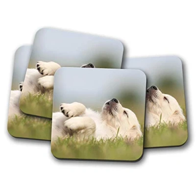 Image of 4 Set Labrador Retriever Puppy Drinks Coaster Dog Cute Golden Fun Gift #8437