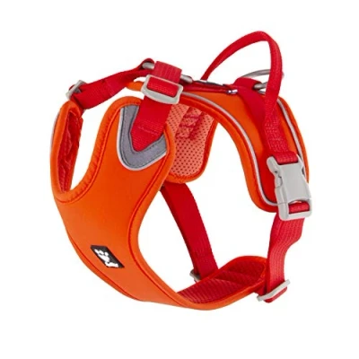 Image of Hurtta Weekend Warrior ECO Dog Harness, Rosehip, 16 18 in