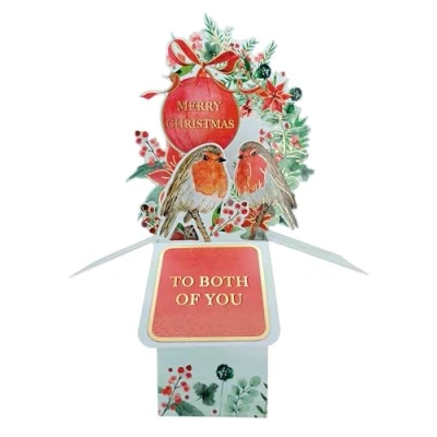 Image of Clever Cubes Pop Up Both of You Robins Merry Christmas Card 3D Xmas XCU004A