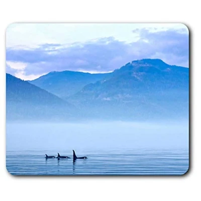 Image of Destination Vinyl Ltd Misty Lake Vancouver Island Mouse Mat Pad Computer PC Laptop Gaming Office Home Desk Accessory Gadget 3399