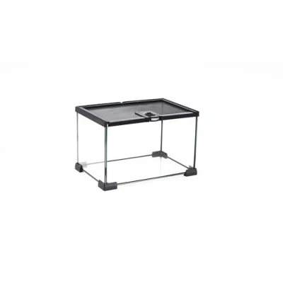 Image of Prorep Mini Terrarium 310 X 210 200mm Glass Spider Tank Stick Insect Snail Enclosure Small Reptile Invertebrates Amphibians
