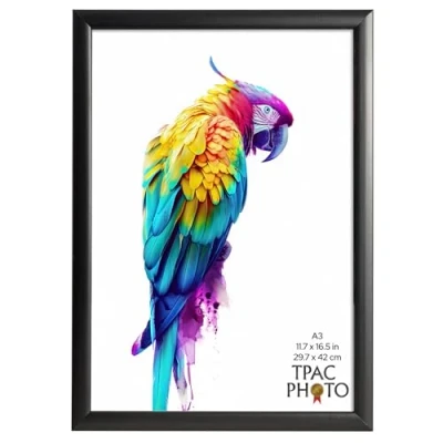 Image of The Photo Album Co SHERWOOD A3 Black Poster Frame Acrylic (Non Glass) Pack of 1