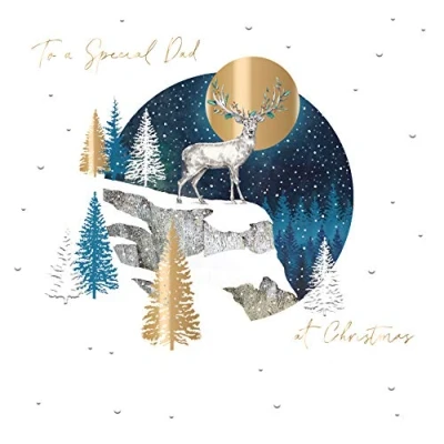 Image of A Special Dad at Christmas Curious Inksmith Card Xmas Greeting Cards CISX0040