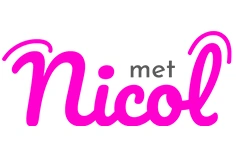 MetNicol logo