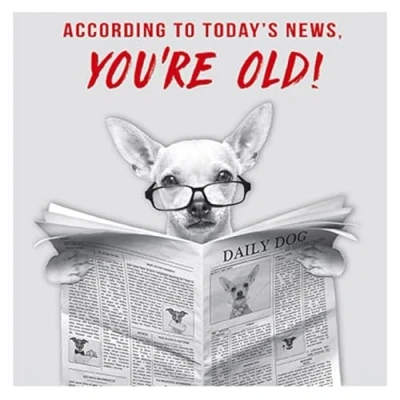 Image of Paperlink General Male Funny Birthday Card for Men Chihuahua Reading News &#039;You&#039;re Old!&#039; Eco Friendly &amp; Recyclable Made in England