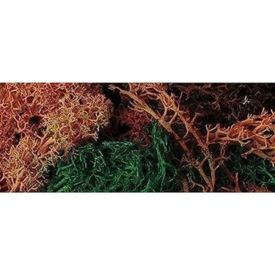 Image of Javis Scenic Lichen, Bulk Pack, Mixed Colour, Model Railway/Wargaming