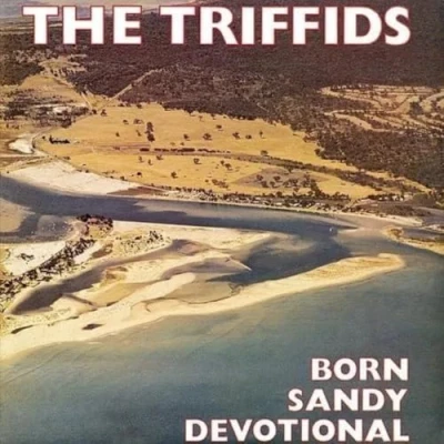 Image of The Triffids (80s) Born Sandy Devotional Yellow vinyl 2024 UK LP TRIFFLP4