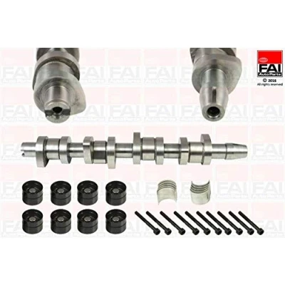 Image of 038109101R Camshaft Kit FAI AutoParts CSK248C VOLKSWAGEN: Multivan 5 (7HM, Passat B6 Variant, Golf 4
