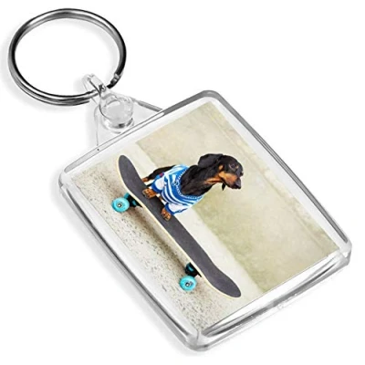 Image of Funny Skateboarding Dachshund Keyring Sausage Dog Stakeboard #13274