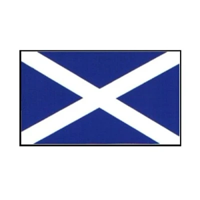 Image of Castle ST ANDREWS FLAG 108X64MM V19