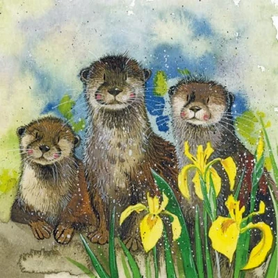Image of Alex Clark Otters Blank Card For Any Occasion Designed and Printed in UK