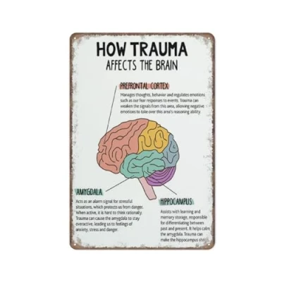 Image of KOPUTE How trauma affects the brain, human Brain poster, anatomy psychology Mental health Retro Metal tin sign Wall Art Kitchen Garden Farm Home Decoration, 20X30cm