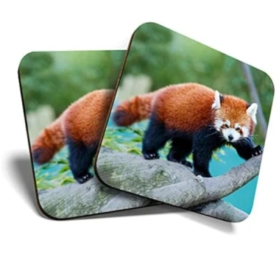 Image of 2 x Square Coasters Wild Red Panda Nature Animal Bear Cork Backed Home Kitchen Accessory Tea Coffee Mug Mat #46441