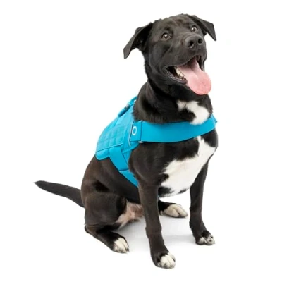 Image of Kurgo RSG Dog Townie Harness, Easy On/Off Hiking Adjustable, MOLLE Compatible, Extra Large Coastal Blue
