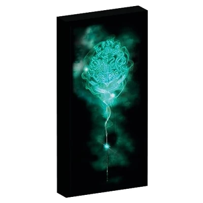 Image of Harry Potter Canvas Picture with 6 LED Lights for Hanging and Standing, 20 x 3 40 cm