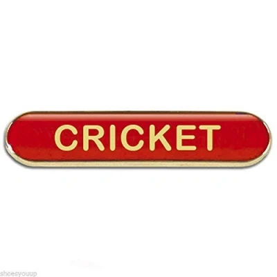 Image of Cricket Badge ideal for schools (red)