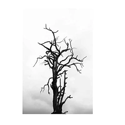 Image of DIY 5D Diamond Painting Kits Full Drill,Black White Tree Paint by Numbers for Adults,Crystal Rhinestone Cross Stitch Embroidery Arts Crafts Home Wall Decor 30x40cm/12x16in