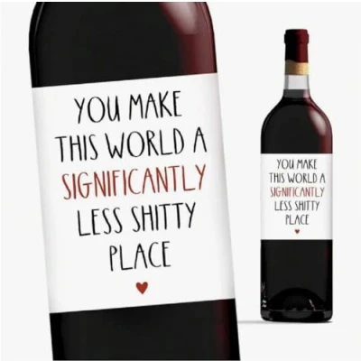 Image of CAA Trading™ You Make This World a Less Sh*tty Place Wine Bottle Label Sticker Alcohol Best Friend Special Friends Colleague (1 Sticker)