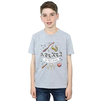 Image of Harry Potter Boys Seeker in Training T Shirt Sport Grey 3 4 Years