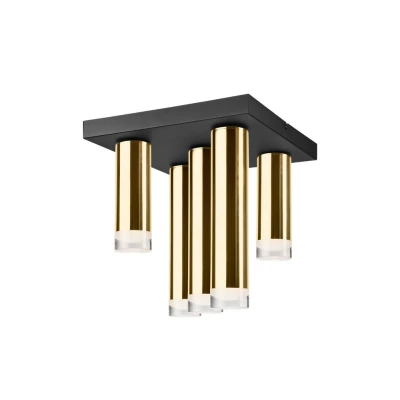 Image of Diego Surface Mounted Downlight Gold, 5x E27