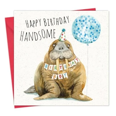 Image of Twizler Funny Birthday Card Walrus for Men Happy Him Male Animal Humour Blank Inside
