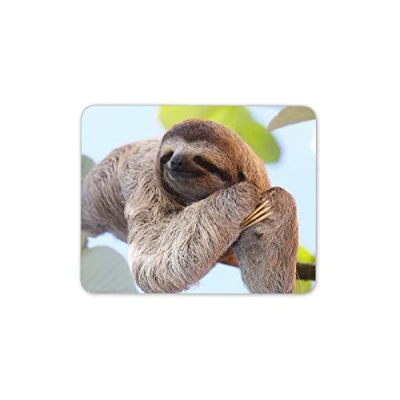 Image of Destination Vinyl Ltd Lazy Sloth Mouse Mat Pad Sloths Cute Animal Kids Funny Gift PC Computer #8487