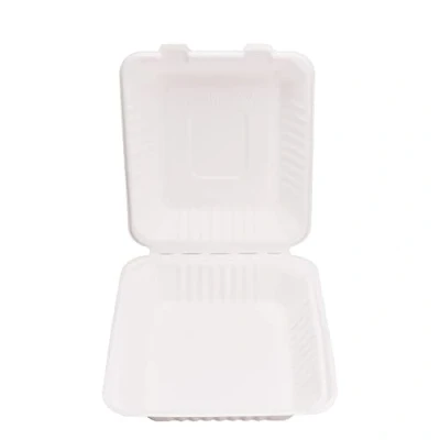 Image of EcoFlavour Disposable Strong Clamshell Takeaway Containers White 8x8 Inches single compartment Set Of 100 Biodegradable, Compostable, Recyclable Bagasse Food Containers/Lunch boxes