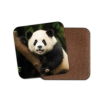 Image of 1 x Cute Baby Panda Coaster Bear Cub Animal Wild China Zoo Fun #14565